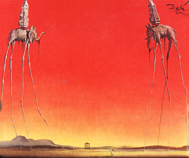 salvador-dali-slonie