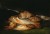 Goya_Still Life with Golden Bream_wiz