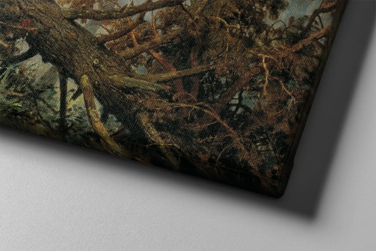 Iwan Iwanowicz Szyszkin (2)