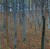 gustav-klimt-beech-grove-i-drzew-gaj-bukowy-1902-reprodukcja (2).jpg