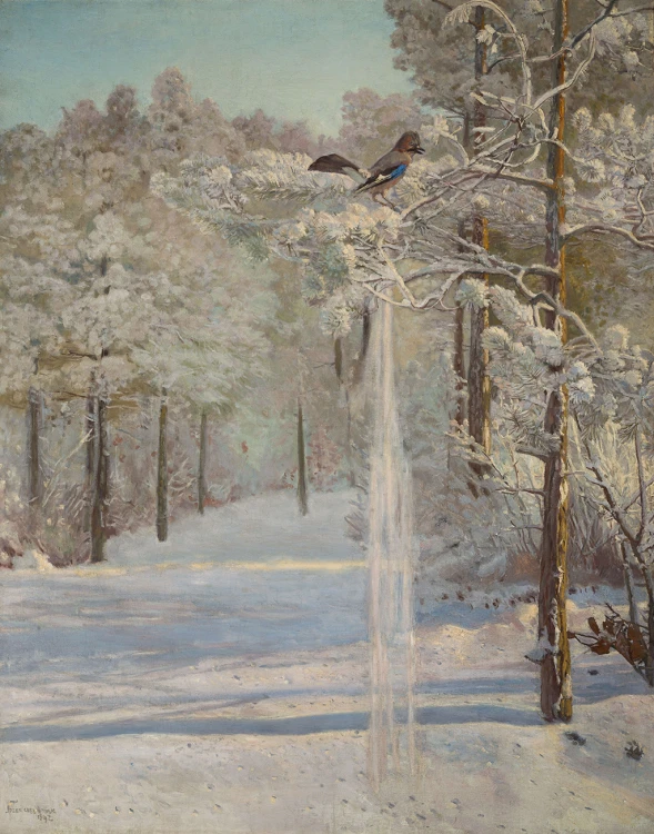 sojka-chelmonski (3)